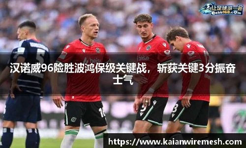 汉诺威96险胜波鸿保级关键战，斩获关键3分振奋士气